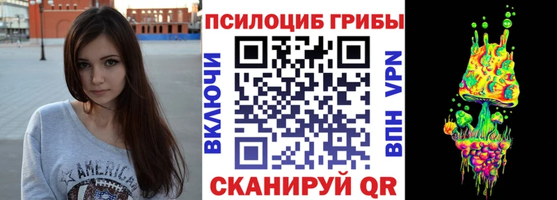 Псилоцибиновые грибы MAGIC MUSHROOMS  как найти наркотики  Подпорожье 